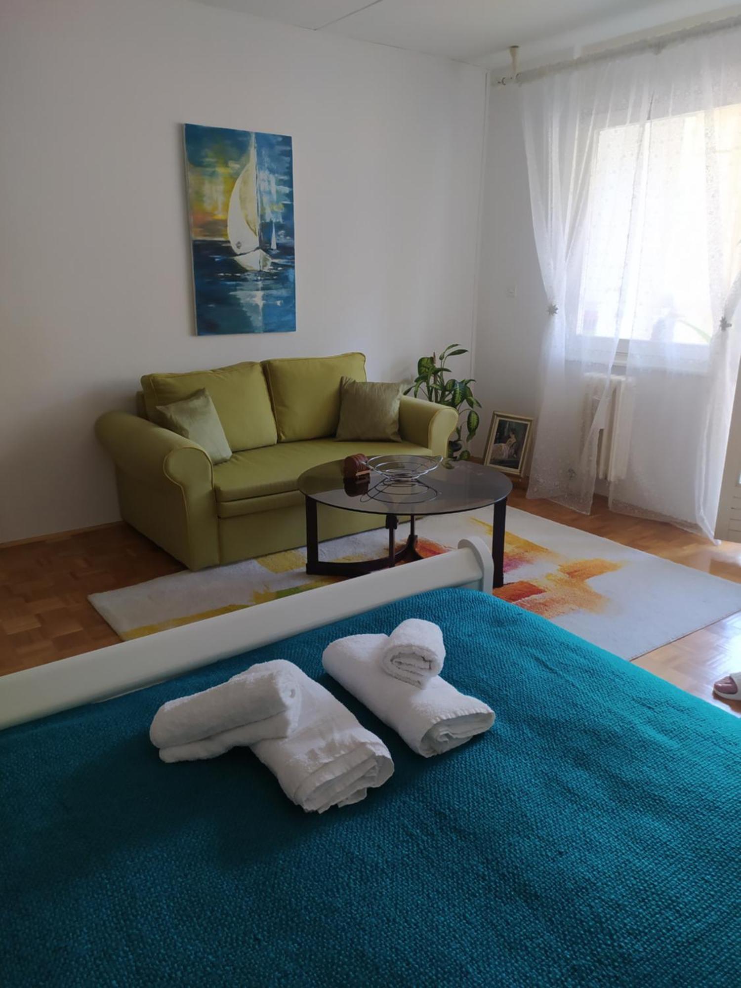 Alea Studio Apartment&Garage In The Heart Of 塞拉耶佛 外观 照片